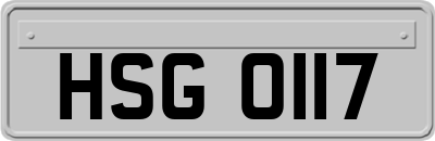 HSG0117