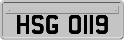 HSG0119
