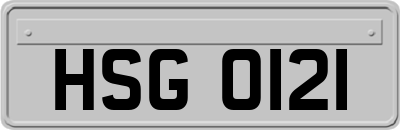 HSG0121