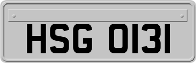 HSG0131