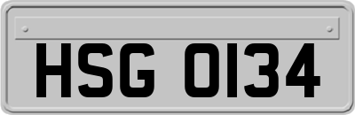 HSG0134
