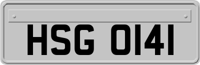 HSG0141