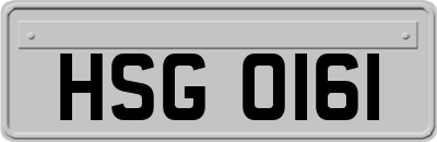 HSG0161
