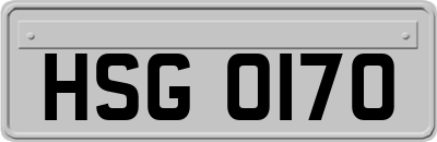 HSG0170