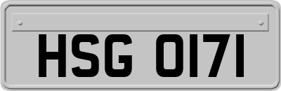 HSG0171