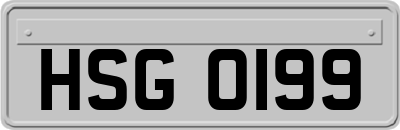 HSG0199