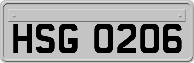 HSG0206