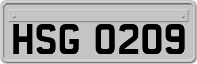 HSG0209