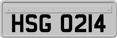 HSG0214
