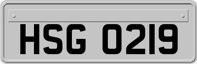HSG0219