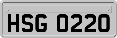 HSG0220