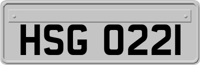 HSG0221