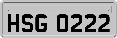 HSG0222