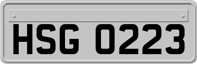 HSG0223
