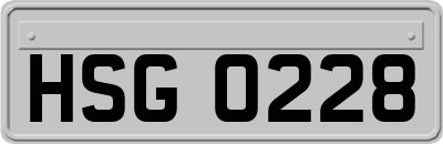 HSG0228