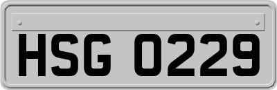 HSG0229
