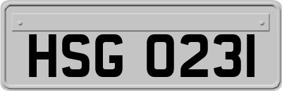 HSG0231