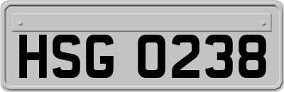 HSG0238