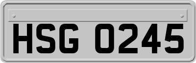 HSG0245