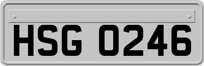 HSG0246