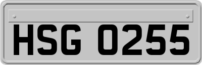 HSG0255