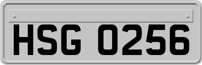 HSG0256