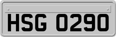 HSG0290