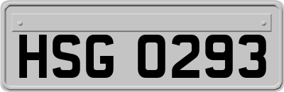 HSG0293