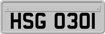 HSG0301