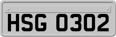 HSG0302