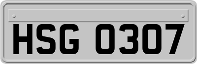 HSG0307
