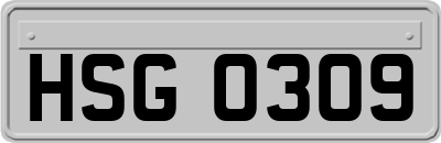 HSG0309