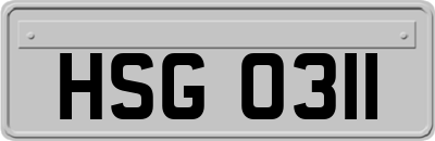 HSG0311