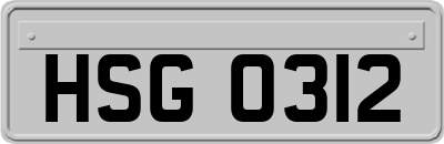 HSG0312
