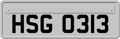 HSG0313