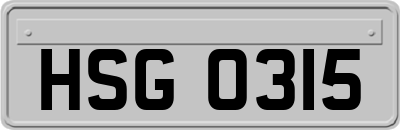 HSG0315