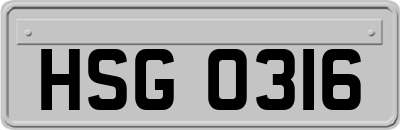 HSG0316