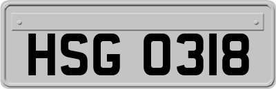 HSG0318