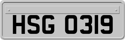 HSG0319
