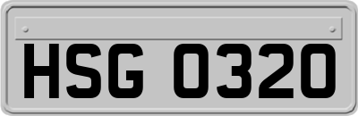 HSG0320