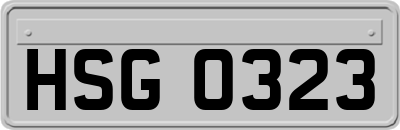 HSG0323