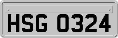 HSG0324