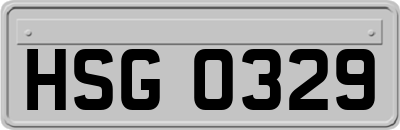HSG0329