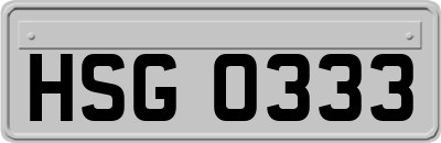 HSG0333