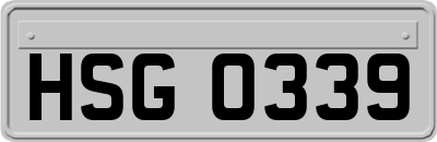 HSG0339