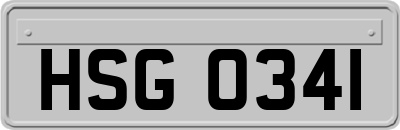 HSG0341