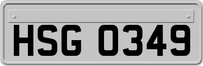 HSG0349
