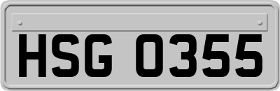 HSG0355