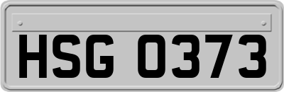 HSG0373
