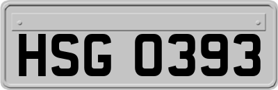 HSG0393